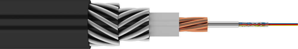 ProLine H
